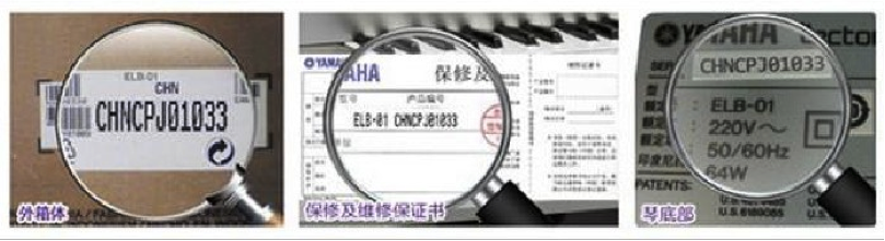 紧急声明：谨防尊龙凯时电子琴假冒伪劣商品 